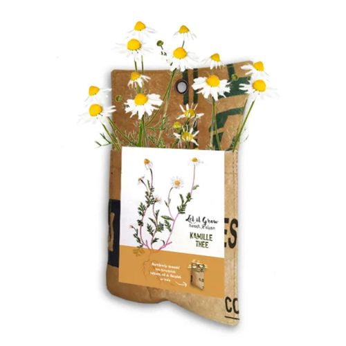 Hængehave te - Billede 3